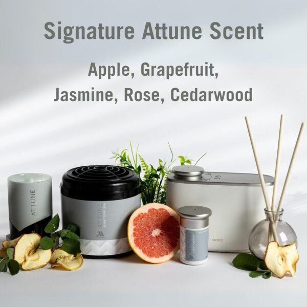 Marriott Hotels - Attune Scent Sticks - Set of 5 Biodegradable, pre-Scented Stic... - Image 4
