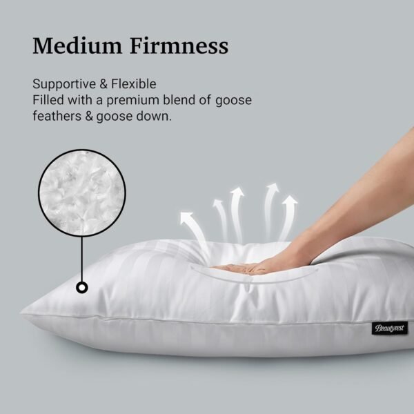 Beautyrest Fluffy Hotel Collection Luxury Goose Feathers Medium Firm Hypoallerge... - Image 3
