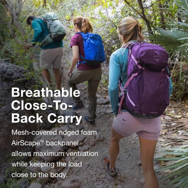 Osprey Sportlite 25L Unisex Hiking Backpack, Pine Leaf Green, M/L - Image 5
