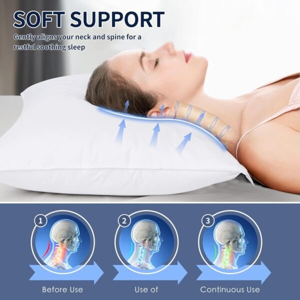 Luxury Canadian White Goose Down Pillow Queen - 900+ Fill Power, Soft Down Pillo... - Image 4